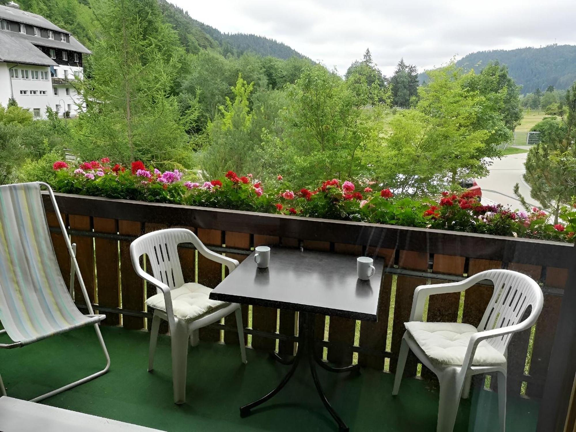 Naturidyll Am Fluss - Ferienhaus Albmatte - Grosser Garten Zum Grillen Und Entspannen-Direkt Neben Dem Radon Revitalbad Mit Sauna Und Thermalbecken St. Blasien Eksteriør billede