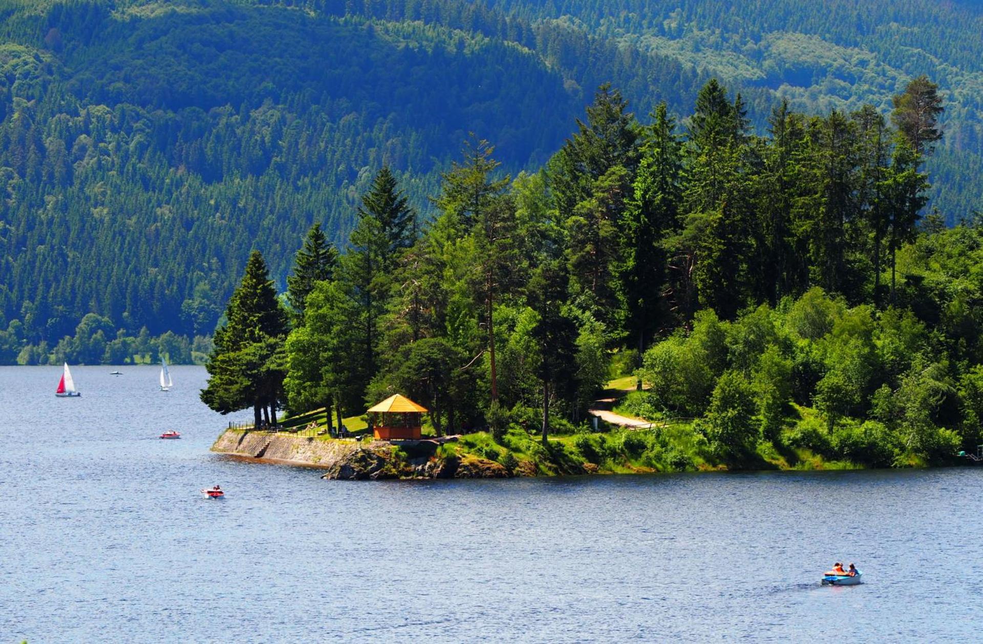 Naturidyll Am Fluss - Ferienhaus Albmatte - Grosser Garten Zum Grillen Und Entspannen-Direkt Neben Dem Radon Revitalbad Mit Sauna Und Thermalbecken St. Blasien Eksteriør billede