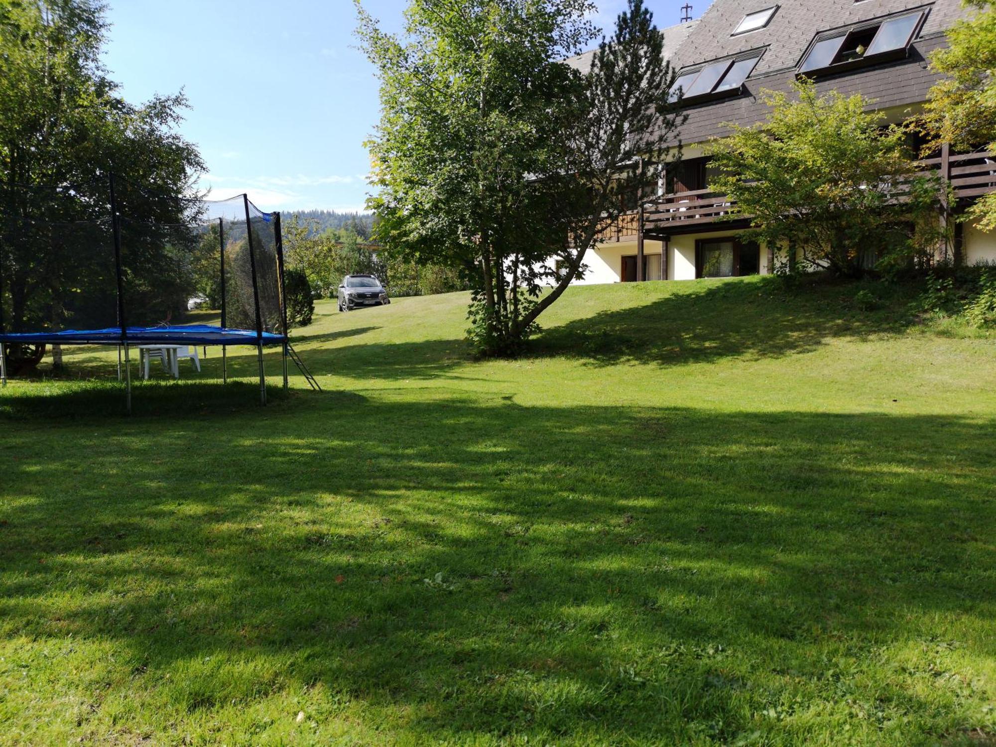 Naturidyll Am Fluss - Ferienhaus Albmatte - Grosser Garten Zum Grillen Und Entspannen-Direkt Neben Dem Radon Revitalbad Mit Sauna Und Thermalbecken St. Blasien Eksteriør billede