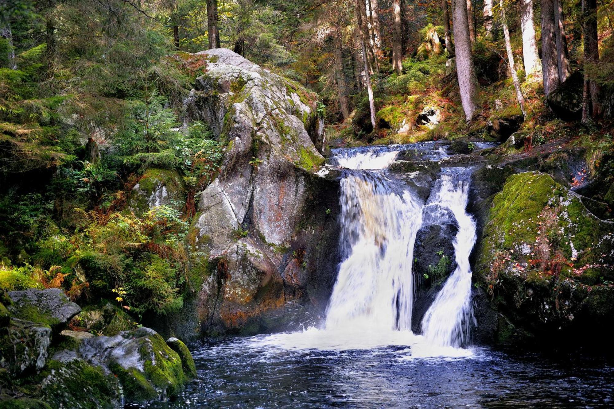 Naturidyll Am Fluss - Ferienhaus Albmatte - Grosser Garten Zum Grillen Und Entspannen-Direkt Neben Dem Radon Revitalbad Mit Sauna Und Thermalbecken St. Blasien Eksteriør billede