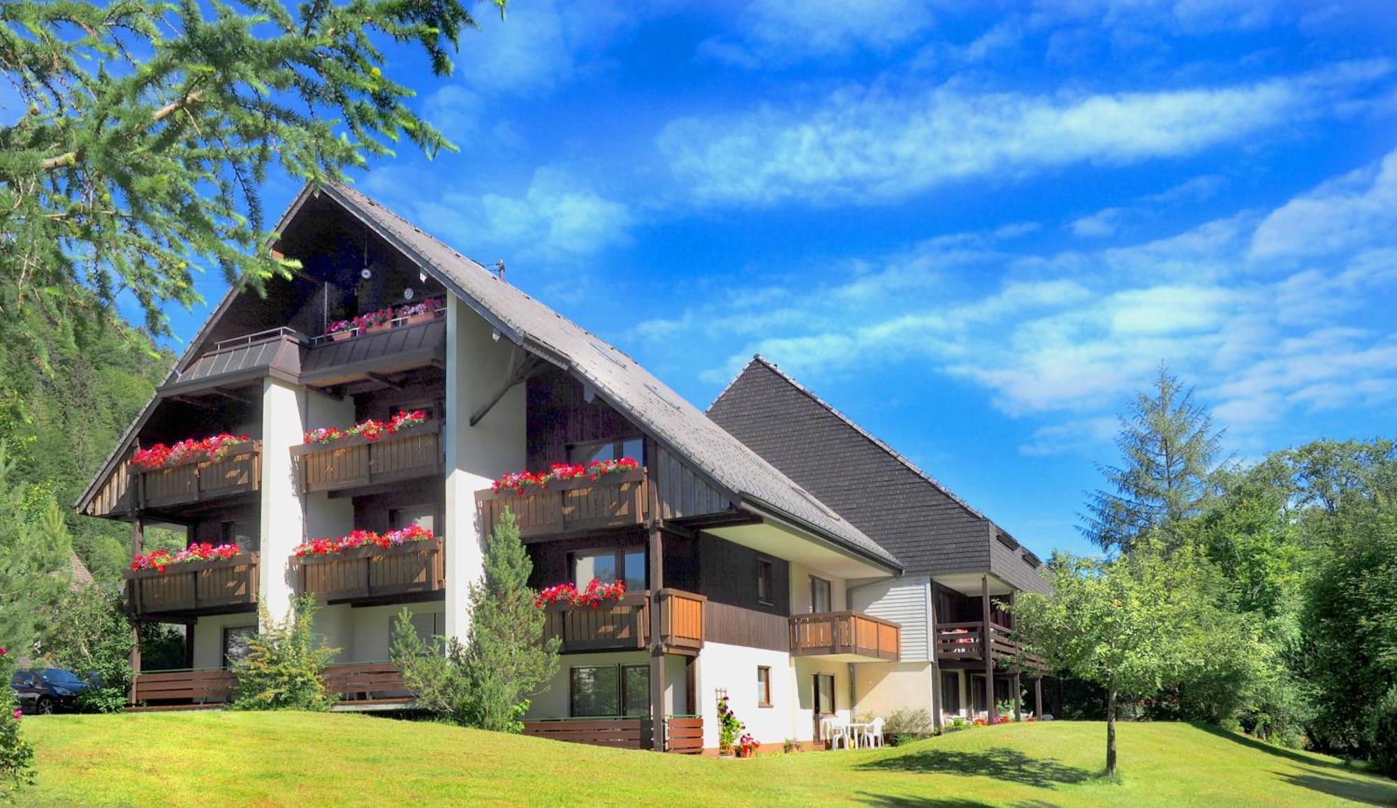 Naturidyll Am Fluss - Ferienhaus Albmatte - Grosser Garten Zum Grillen Und Entspannen-Direkt Neben Dem Radon Revitalbad Mit Sauna Und Thermalbecken St. Blasien Eksteriør billede
